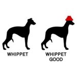 Whippet-Good.jpg