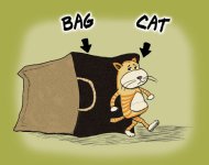 catbag1.jpg