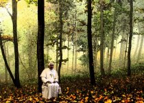 pope-in-the-woods-boomerang.jpg