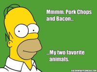 homer-simpson-bacon-quotes-3-640x480.jpg