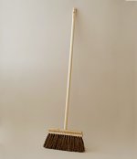 Swedish-broom-1-600x600.jpg