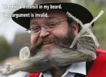 wimdmillbeard.jpg