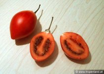 tamarillo-baumtomate-frucht.jpg