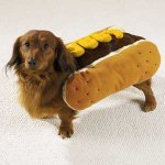 dog-costume-hot-dog-b.jpg