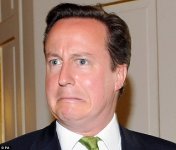 worried-cameron.jpg