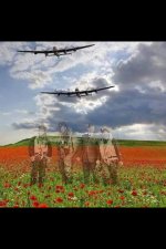 ww2 planes soldier poppy memory war.jpg