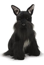 Schnauzer.jpg