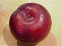 plum (medium).jpg