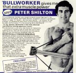 bullworker-the-bee.jpg