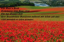 Poppy-Field-2.jpg