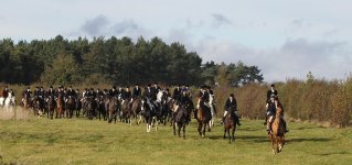 A_Old_Berks_Hunt_Field-1169x550.jpg