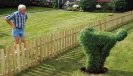 angry-hedge-e1455173958253.jpg