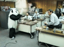 keyboard-panda-1.gif