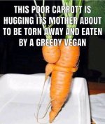 Vegan bait..jpg