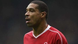 des-walker-forest.jpg