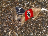 nazi dog.jpg