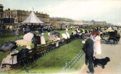 Hove Lawns.jpg